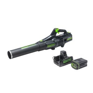 2024 Greenworks 82BH22-4DP