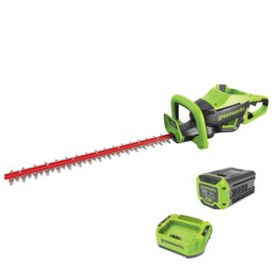 2024 Greenworks HT82210